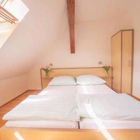 Daviduv Mlyn Hotel Staré Těchanovice Екстериор снимка