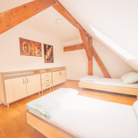 Daviduv Mlyn Hotel Staré Těchanovice Екстериор снимка