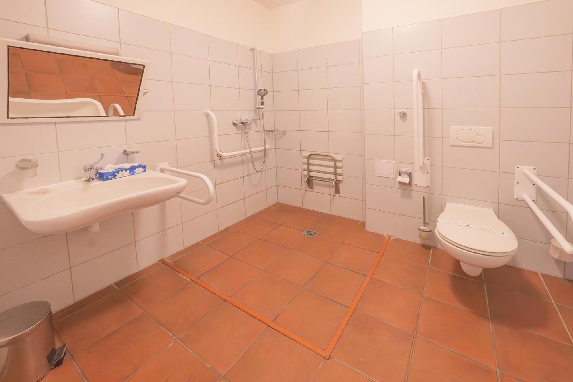 Daviduv Mlyn Hotel Staré Těchanovice Екстериор снимка
